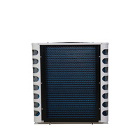 Pompe à chaleur commerciale à source d'eau RMRB RMRB-03YR-D 12kW, compresseur à vis R410A, haute performance énergétique (COP), 380V, pour piscines et hôtels