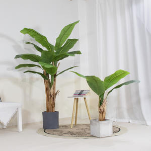 Nueva planta verde <span class=keywords><strong>suculenta</strong></span> de simulación de Flocado de Color blanco para decoración del hogar - Product Image 2