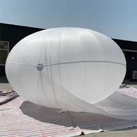 Ballon gonflable personnalisé en PVC à impression complète pour les événements en plein air Ballon publicitaire à l'hélium en vente avec 1 an de garantie