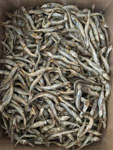 מכירה חמה טרייה בהקפאה קפולין מיובשת מזון יבש עבור חתולים וכלבים - Product Image 4