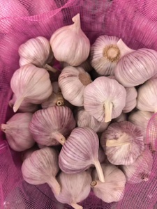 Ajos Chinos: Ajo Blanco Fresco de Cadena de Frío, Entregado Directamente de Fábrica China, Venta al por Mayor de Ajo Fresco - Product Image 3