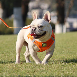 Wholesale <b>Pet</b> Chest Straps Adjustable Soft Dog <b>Harness</b> Breathable Cat Vest Comfortable Reflective <b>Pet</b> <b>Harness</b> Set - Product Image 2