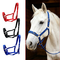 ZJFIT Collier de dressage réglable en nylon pour cheval, équipement équestre, fournitures d'écurie, taille L, origine Sichuan