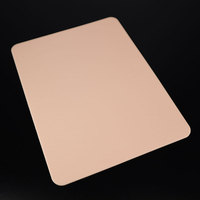 Peau Artificielle en Silicone Souple Double Face de Haute Qualité pour la Pratique du Maquillage Permanent et des Tatouages – Vente en Gros