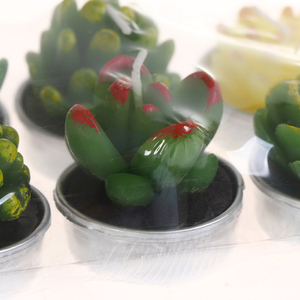 <span class=keywords><strong>Kit</strong></span> de bougies de plantes de Cactus succulentes décoratives, mignonnes bougies sans fumée, parfaites pour le Festival, les accessoires de mariage, la fête à la <span class=keywords><strong>maison</strong></span> - Product Image 5