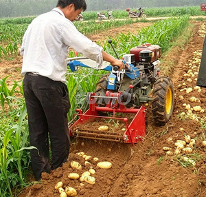 Tractor Pequeño para el Hogar con Enganche de Tres Puntos, Excavadora de Patatas, Equipo Agrícola de Alta Productividad, Cosechadora Combinada <span class=keywords><strong>UNIO</strong></span> para Patatas - Product Image 6