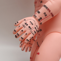 Modèle d'entraînement au massage pédiatrique, simulation anatomique, points d'acupuncture complets et applications multifonctionnelles