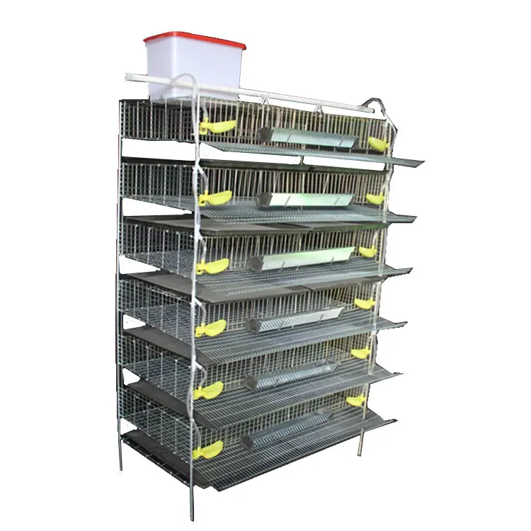 Système d'élevage de cailles commerciales/cages à cailles pour la production d'œufs/cages à cailles pondeuses à vendre