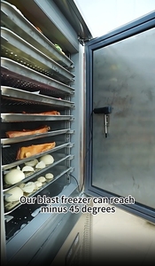 Venta directa de fábrica 15 bandejas Fast Blast Chiller <span class=keywords><strong>Irinox</strong></span> Freezer Table Top Meat Shock Freezer - Product Image 4