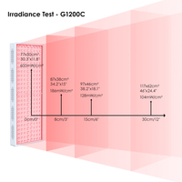 Panneau de luminothérapie rouge BIOMOL GS Conception à double LED pour une thérapie profonde Utilisation à domicile
