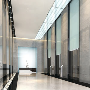 यात्री लिफ्ट आवासीय लिफ्ट 450 किलोग्राम-1600 किलोग्राम लोड मशीन-रूम-लेस अपार्टमेंट लिफ्ट आवासीय मॉल स्कूल कार्यालय होटल - Product Image 6