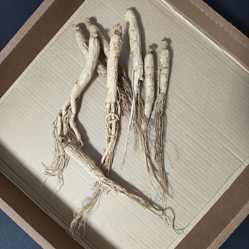 High Quality Panax Ginseng Root AD Drying Process Chinese Herbal Medicine with Bitter Taste for Adults