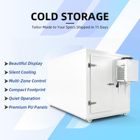 Ruang Pendingin Mini Kompak, Freezer Penyimpanan Panel Sandwich PU, Coldroom Ukuran Kustom untuk Rumah, Toko, Basement, Pabrik OEM