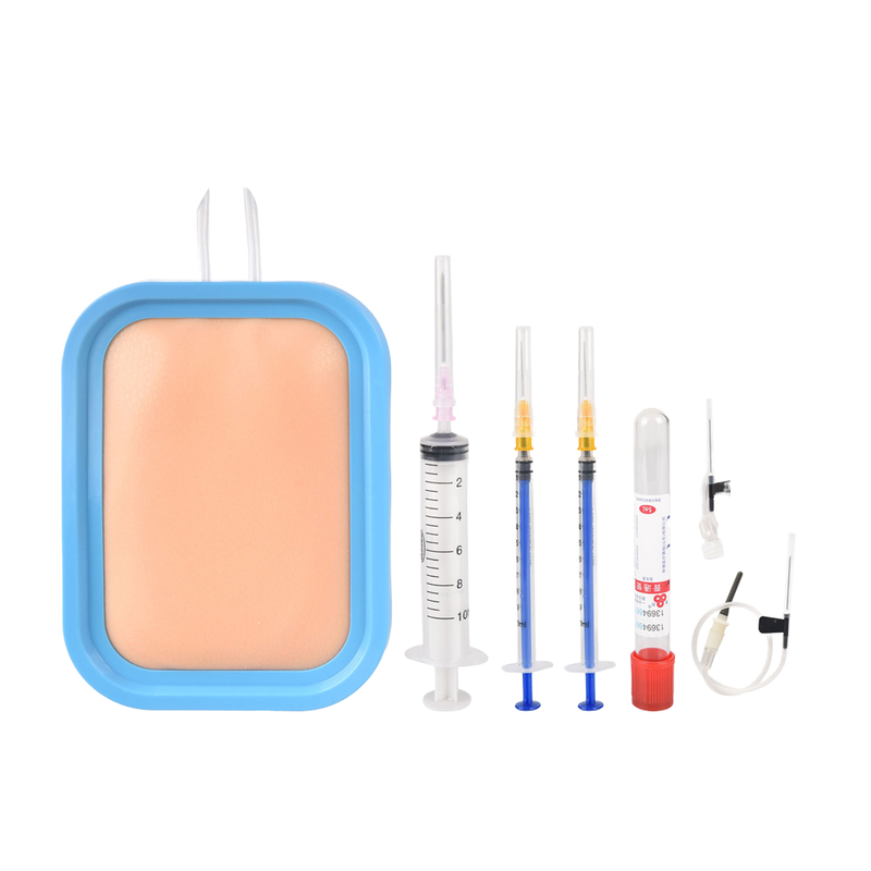 Durable Intravenous Injection Training Blood Collection