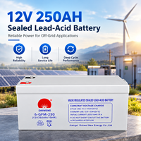 Baterai Gel Lead Acid Deep Cycle 12V 250Ah 200Ah 150Ah 1000 Siklus Baterai Penyimpanan VRLA untuk Sistem Solar & Inverter UPS