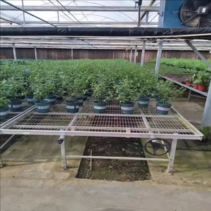 Dây thép lưới lăn băng ghế dự bị phát triển bảng cho cây hoa phát triển trong nhà nhà kính - Product Image 2