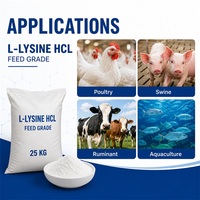 Complément alimentaire de qualité alimentaire pour augmenter la teneur en protéines, CAS 60343-69-3, L-Lysine de qualité alimentaire en gros, pureté 99%