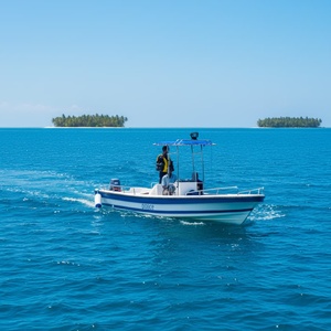 Grandsea - Barco de Pesca Panga de Fibra de Vidrio de 23 pies (7 m), Fabricado en China, Económico, con Consola Central, en Venta - Product Image 2