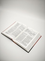 Bible Bonnes Nouvelles