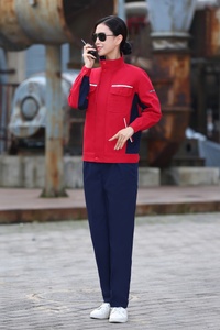 2025 automne hommes ingénieurs <span class=keywords><strong>travail</strong></span> uniformes à manches longues sécurité <span class=keywords><strong>travail</strong></span> costumes avec fonction anti-poussière grande taille Logo personnalisable - Product Image 6