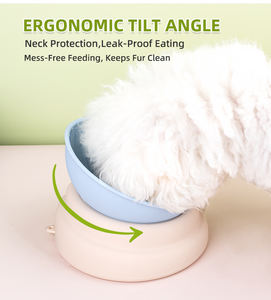2025 nuovo arrivo 2 in 1 Silicone pieghevole portatile 1 ciotola per cani da compagnia per acqua e cibo - Product Image 3