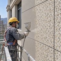 Peinture extérieure anti-moisissure et anti-taches, effet pierre, à base de sable, pour bâtiment, revêtement décoratif multicolore à faible teneur en COV