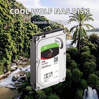 Cool Wolf 0.03GB Disco Rigido Interno SATA 3.0 4200 RPM 103MB Cache Wireless Nuovo per Server, Archiviazione di Rete e NAS