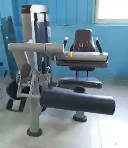 Équipement de gymnastique professionnel Machine d'exercice de jambe Extension de jambe assise pour la salle de gym