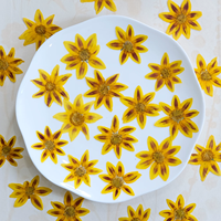 Bingkai Bunga Taman Cosmos Kerajinan Tangan Scrapbooking Resin Epoksi Tanaman Alami Ramah Lingkungan