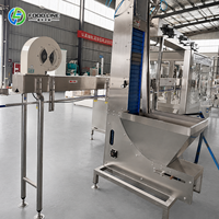 Ligne de production automatique de jus de fruits complète, état neuf, machine à fabriquer du jus de pomme avec machine de remplissage de bouteilles