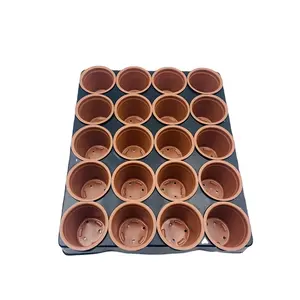 Hot Selling Korting 20 Holes Zaailing Tray Plastic Tray Zaailing Teelt