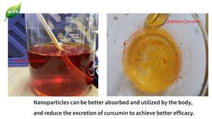 KLIFE 100% Poudre d'extrait de curcumine nano soluble dans l'eau pure Fabricants de curcumine nano - Product Image 4