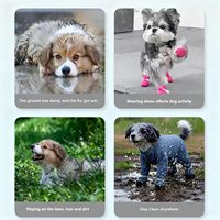 Vêtements pour chien : Pantalon simple et polyvalent, couvrant le ventre, avec patins intégrés, anti-poussière, imperméable, résistant aux taches, rayé, en polyester, pour Teddy