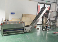 Machine d'extraction de jus industrielle à vis à froid pour fruits et légumes (mangue, citron, ananas, gingembre, pomme, orange)