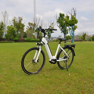 750w de la vieja escuela de crucero de <span class=keywords><strong>playa</strong></span> helicóptero/500 w rata caliente ROD E bicicleta con batería oculta 2019 - Product Image 1
