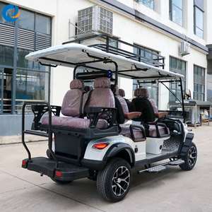 Carritos de Golf Eléctricos de 4 Ruedas, Tipo Buggy, Precio Económico, Venta al Por Mayor - Product Image 3