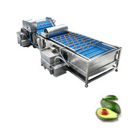 Industriële mango- en groentewaslijn motorpomp 380V 1 jaar garantie voor fruit- en groenteverwerkingsbedrijven (nieuw)