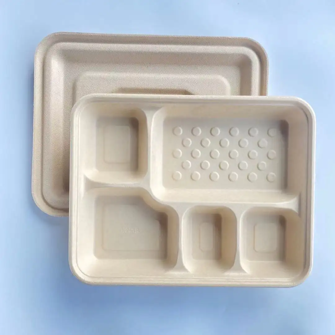 पर्यावरण के अनुकूल Biodegradable गन्ना खोई कारखाने पर्यावरण के अनुकूल खाद्य बॉक्स ढाला लुगदी कागज ले रास्ता कंटेनर