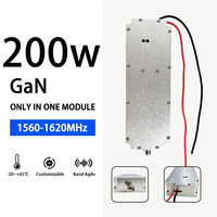 200W RF Amplifikatör Modülü 1560-1620 MHz Güçlü GaN Lineer Amplifikatör, Anti-Drone İHA Tespit ve FPV Güvenlik Devriye Sistemi için