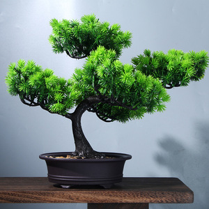 Bonsai di Pino Realistico per Ingresso Soggiorno, Decorazione Mobile TV, Pianta in Vaso Simulata - Product Image 3