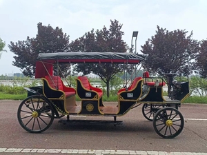Vehículo Eléctrico de Lujo Europeo 2024, Tipo Carruaje Real, de Fibra de Vidrio, para Turismo y Recreación al Aire Libre - Product Image 6