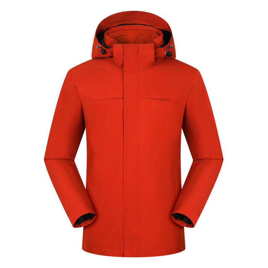 Oiseau vermillon rouge