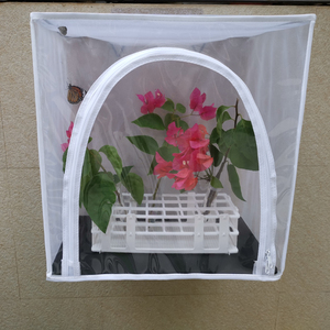 Pieghevole appeso a parete farfalla Habitat farfalla maglia gabbia insetto esterno allevamento gabbia terrario portatile Bug <span class=keywords><strong>House</strong></span> - Product Image 3