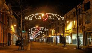 ไฟประดับเทศกาลฮาโลวีนแบบกันน้ำ IP65 สำหรับตกแต่งถนน สวนสาธารณะ และลานในเมือง - Product Image 1