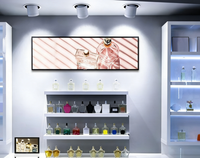Offre Spéciale – Appareil Android Tout-en-un Personnalisable de 28,6 Pouces avec Rétroéclairage LED Complet et Connectivité IoT 2.1 pour Graphiques Extérieurs