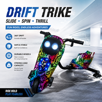 Offre Spéciale : Trottinette Électrique pour Enfants, Tricycle Électrique, Voiture de Drift, Voiture à Télécommande, Voiture Balançoire, Équipement de Divertissement pour Espaces Publics