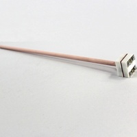 Thermocouple Platine-Rhodium Type B WRR-010 en Alumine Diamètre 8mm Petit Modèle 1600 Degrés Support Personnalisé Disponible