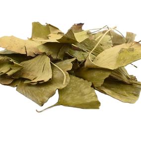 Bai Guo Ye Feuille De <span class=keywords><strong>Ginkgo</strong></span> Séchage Brut Nouvelles <span class=keywords><strong>Feuilles</strong></span> De <span class=keywords><strong>Ginkgo</strong></span> <span class=keywords><strong>Biloba</strong></span> Séchées Naturelles De Haute Qualité - Product Image 1