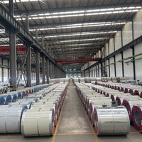 Offres Spéciales : Bobines d'acier galvanisé PPGI/PPGL laminées à froid personnalisées pour tôles de toiture