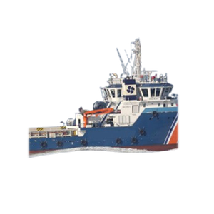 Gru di salvataggio e salvataggio marina con sistema di sollevamento di emergenza e componenti in acciaio inossidabile - Product Image 6